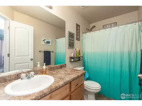 321 Shadowbrook Dr, Windsor, CO 80550 photo 13