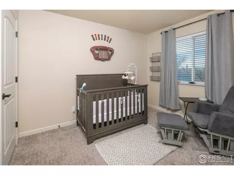 4417 Rockcress Rd, Evans, CO 80620 photo 15