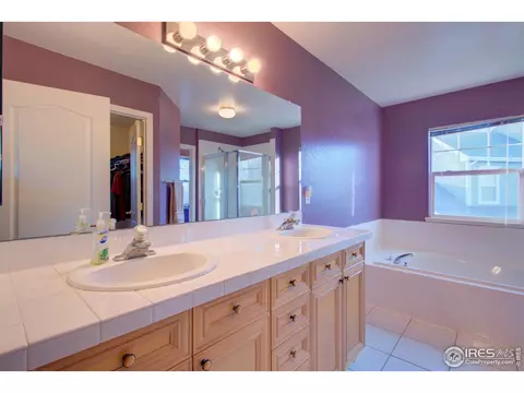 294 Fieldstone Dr, Windsor, CO 80550 photo 16