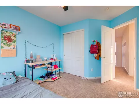 294 Fieldstone Dr, Windsor, CO 80550 photo 18