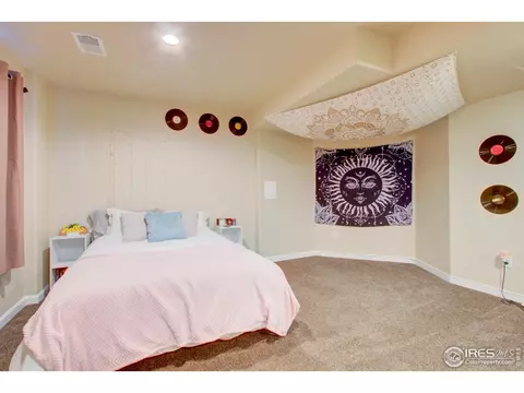 294 Fieldstone Dr, Windsor, CO 80550 photo 22