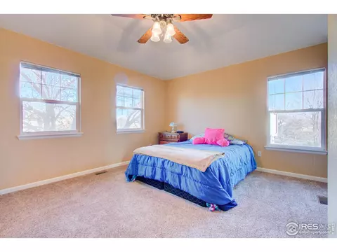 294 Fieldstone Dr, Windsor, CO 80550 photo 15