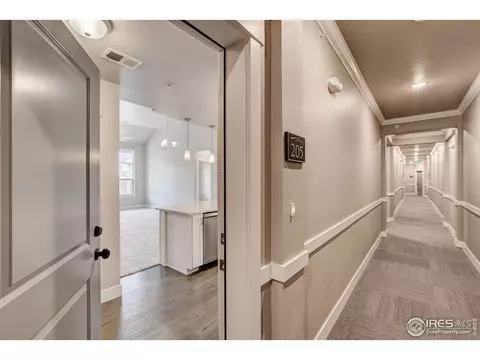 6510 Crystal Downs Dr #203, Windsor, CO 80550 photo 5