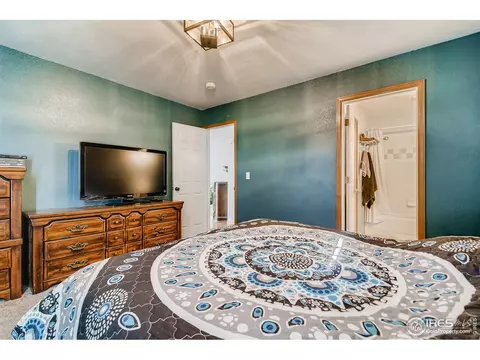 605 Meadow Dr, Windsor, CO 80550 photo 13