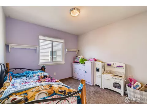 605 Meadow Dr, Windsor, CO 80550 photo 15