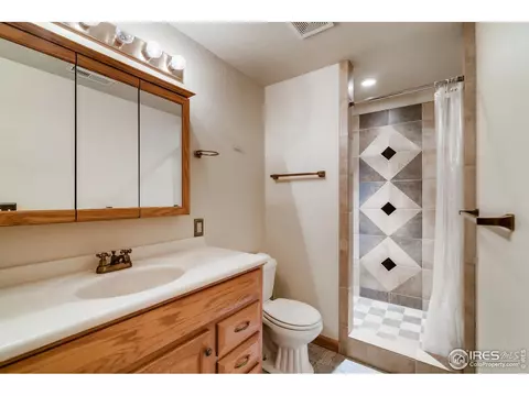 605 Meadow Dr, Windsor, CO 80550 photo 21