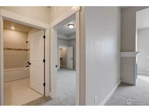 6582 Crystal Downs Dr #204, Windsor, CO 80550 photo 19