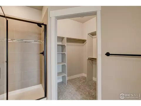 6582 Crystal Downs Dr #204, Windsor, CO 80550 photo 30