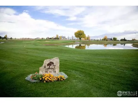 6582 Crystal Downs Dr #201, Windsor, CO 80550 photo 39