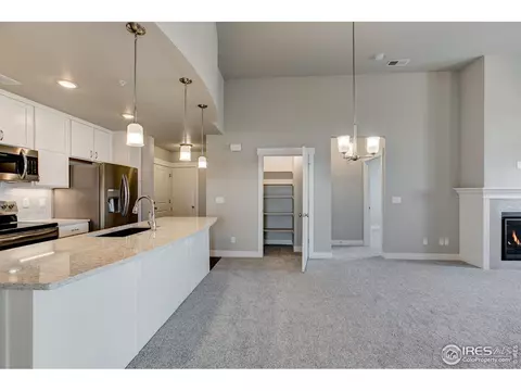 6582 Crystal Downs Dr #201, Windsor, CO 80550 photo 14