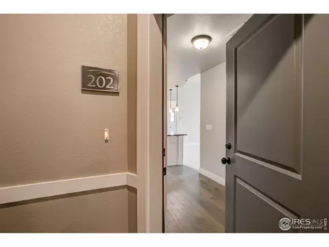 6510 Crystal Downs Dr #202, Windsor, CO 80550 photo 5