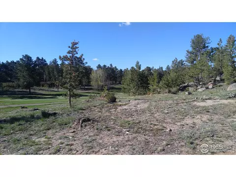 3031 Lake Arapahoe Ct, Red Feather Lakes, CO 80545