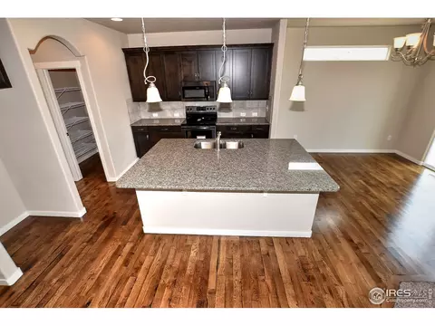 6630 Pebble Path Ct, Timnath, CO 80547 photo 7