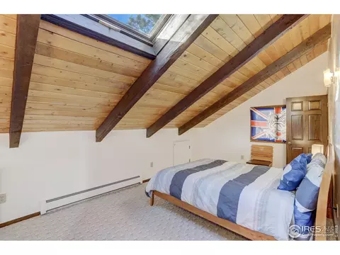 253 Wild Tiger Rd, Boulder, CO 80302 photo 19