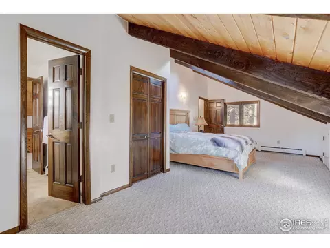 253 Wild Tiger Rd, Boulder, CO 80302 photo 16