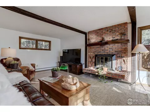 253 Wild Tiger Rd, Boulder, CO 80302 photo 7