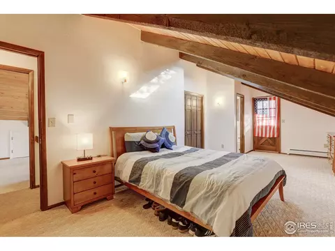253 Wild Tiger Rd, Boulder, CO 80302 photo 18