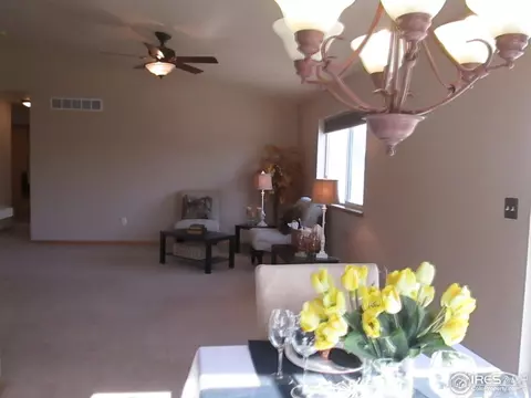 911 Emerald Dr, Windsor, CO 80550 photo 6