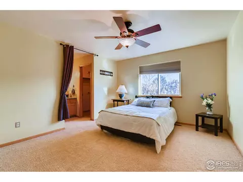 911 Emerald Dr, Windsor, CO 80550 photo 11