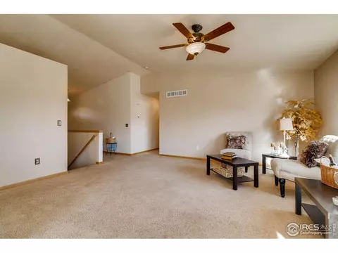 911 Emerald Dr, Windsor, CO 80550 photo 4