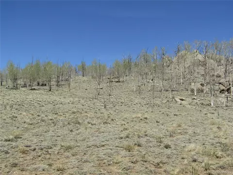 1868 Ute Trce, Hartsel, CO 80449