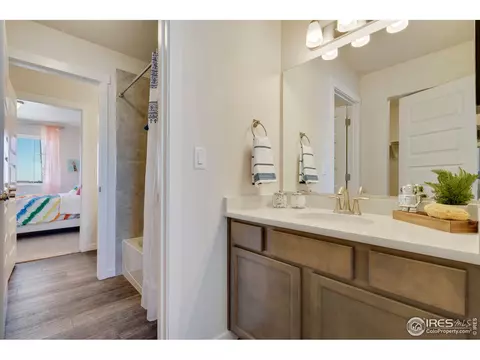 1133 Ibex Dr, Severance, CO 80550 photo 19