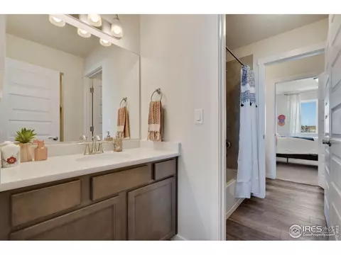 1133 Ibex Dr, Severance, CO 80550 photo 13
