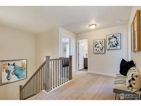 1133 Ibex Dr, Severance, CO 80550 photo 11