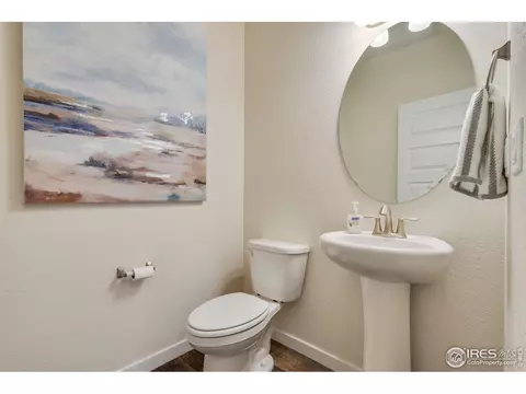 1133 Ibex Dr, Severance, CO 80550 photo 18