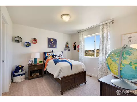 1133 Ibex Dr, Severance, CO 80550 photo 17