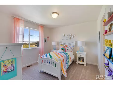 1133 Ibex Dr, Severance, CO 80550 photo 16