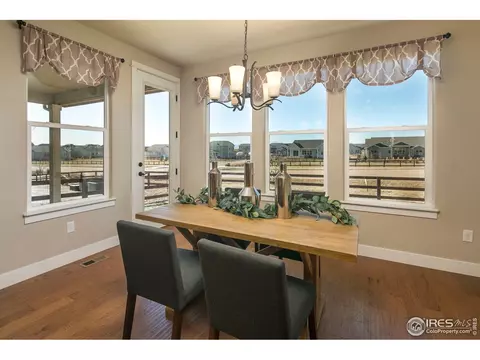 885 Corn Stalk Dr, Windsor, CO 80550 photo 10
