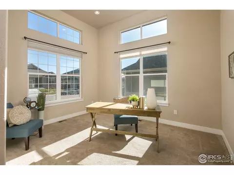 885 Corn Stalk Dr, Windsor, CO 80550 photo 6