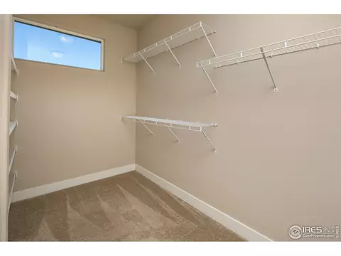 885 Corn Stalk Dr, Windsor, CO 80550 photo 20
