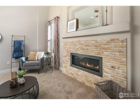 885 Corn Stalk Dr, Windsor, CO 80550 photo 13