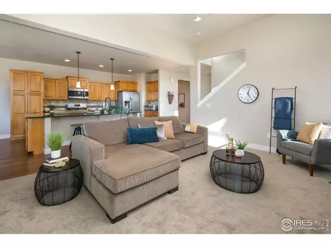 885 Corn Stalk Dr, Windsor, CO 80550 photo 12