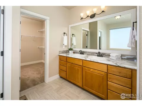 885 Corn Stalk Dr, Windsor, CO 80550 photo 18