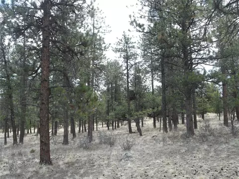30710 W Ridge Rd, Buena Vista, CO 81211