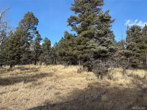 310 Morley Pl, Fort Garland, CO 81133