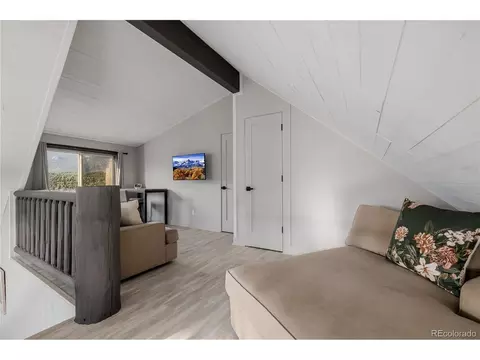 302 Lakeview Rd, Bailey, CO 80421 photo 22