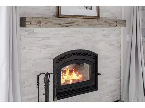 302 Lakeview Rd, Bailey, CO 80421 photo 5