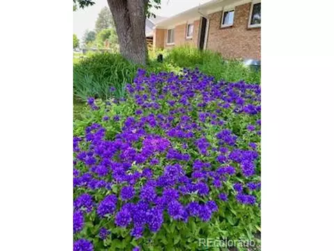 6503 E Bates Ave, Denver, CO 80224 photo 43