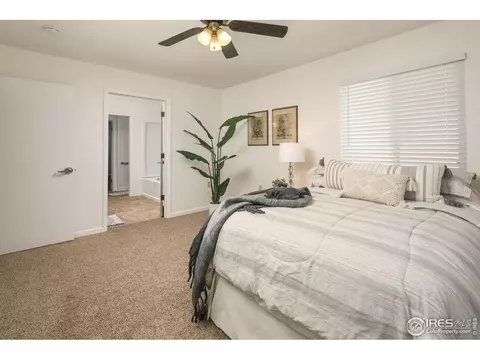 1625 40th St Ct, Evans, CO 80620 photo 12