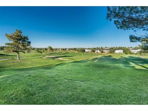 9314 Bauer Ct, Lone Tree, CO 80124 photo 33