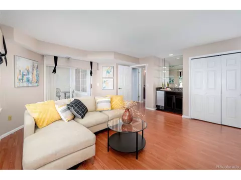 9314 Bauer Ct, Lone Tree, CO 80124 photo 10