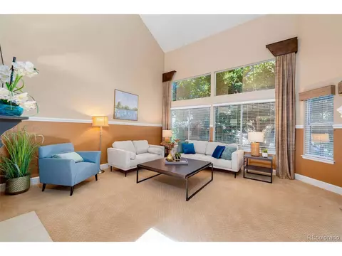 9314 Bauer Ct, Lone Tree, CO 80124 photo 3