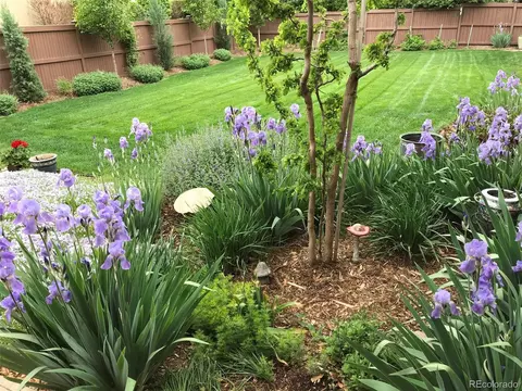 7880 E 6th Ave, Denver, CO 80230 photo 6
