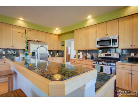 445 Vasquez Ct, Lyons, CO 80540 photo 10