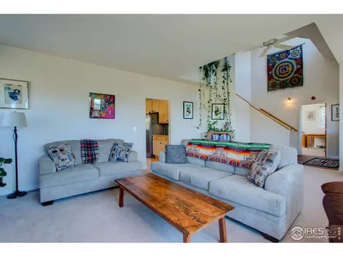 445 Vasquez Ct, Lyons, CO 80540 photo 8