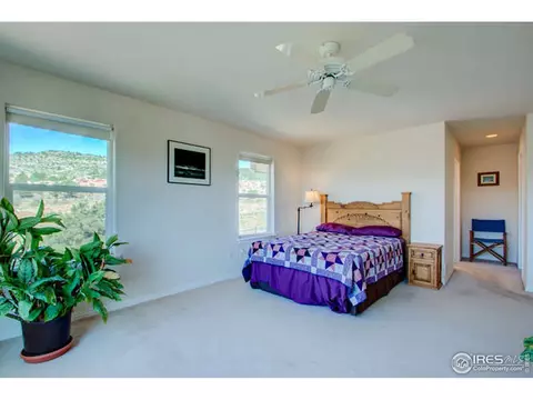 445 Vasquez Ct, Lyons, CO 80540 photo 18